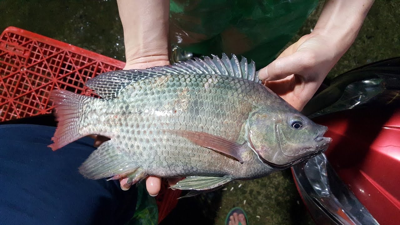 1E11ADFC-3717-4A98-BB39-6D6A5BD25B48