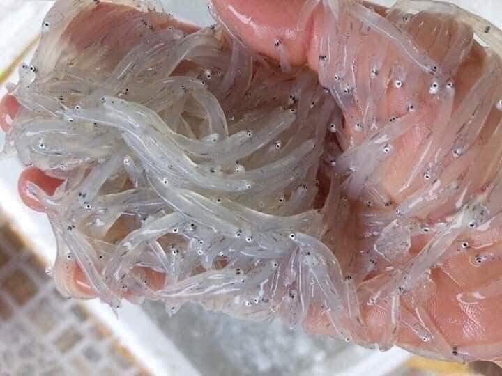 306727435_5175965372529728_3676575838737714814_n