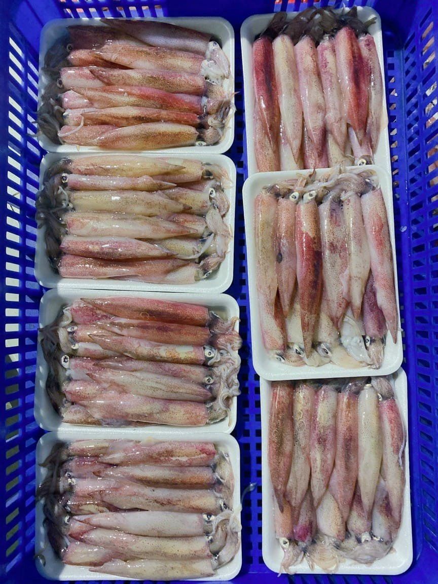 309193632_509020697899928_3837966654867427286_n