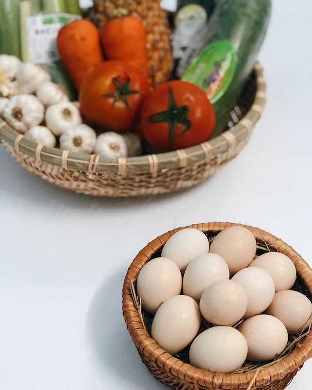 320375642_558253269686779_2619296526514828104_n