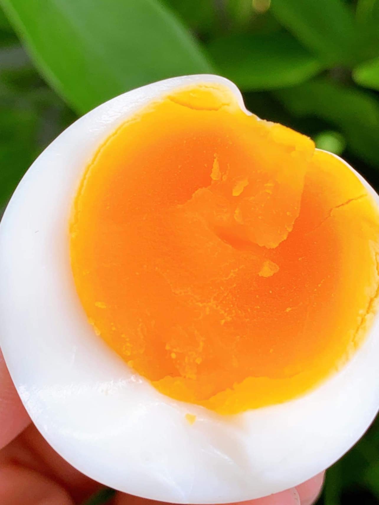 320751966_1417696561971623_6684673309209530364_n