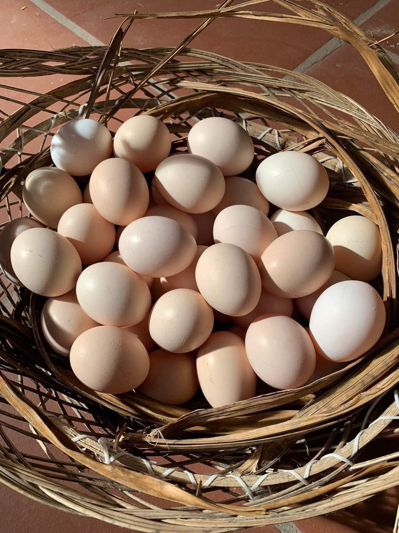 320766808_548325650251550_7079565056131260130_n