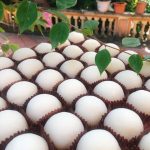 Hộp 6 viên Mochi tươi kem lạnh vị sữa dừa