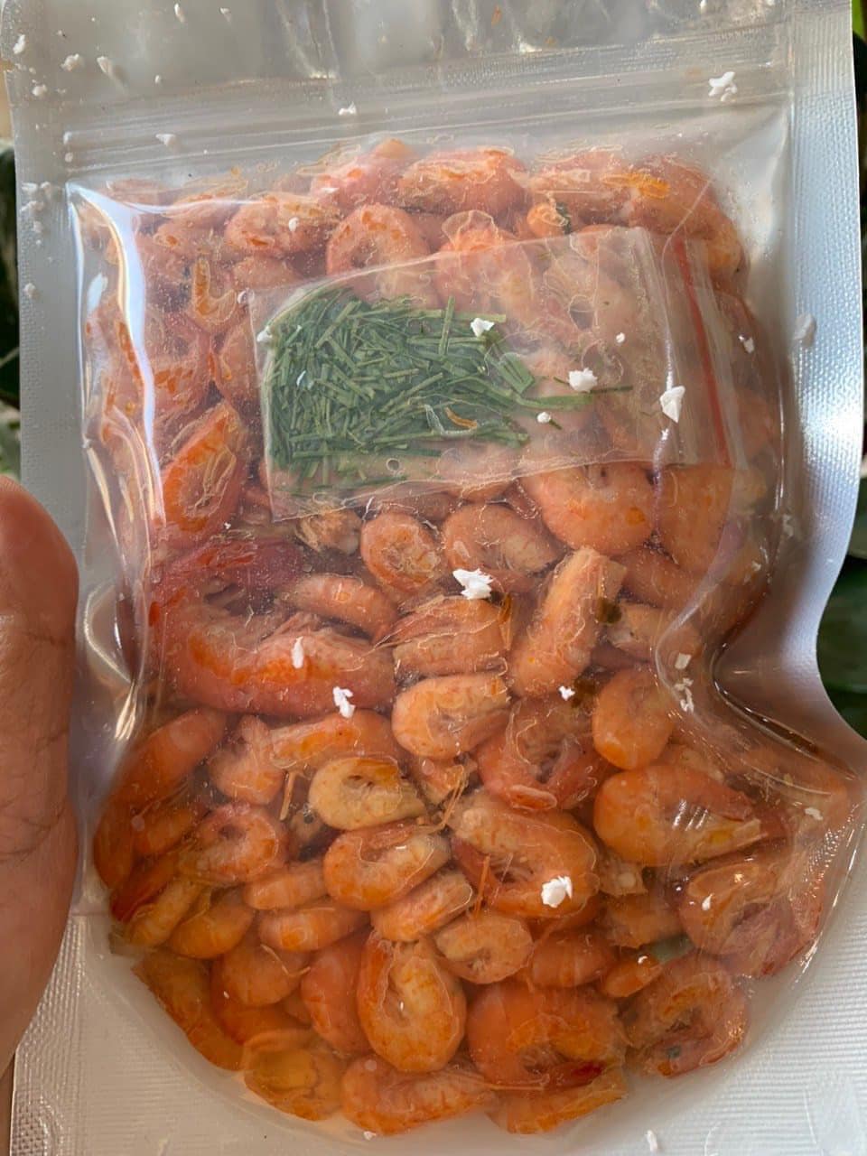 332257220_3477876232492677_1514976590322097558_n