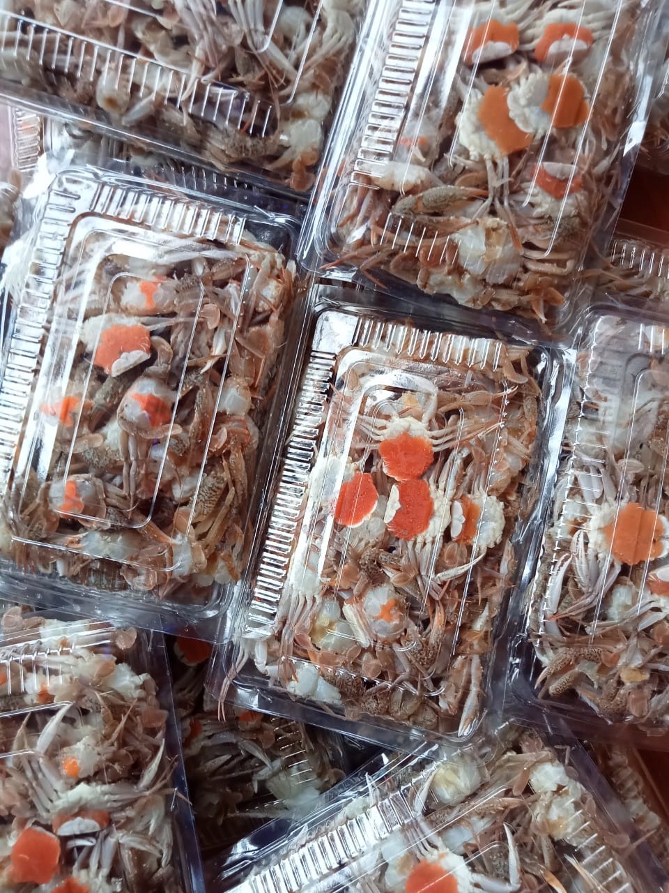 335015289_2420873178071494_5072559677237996370_n