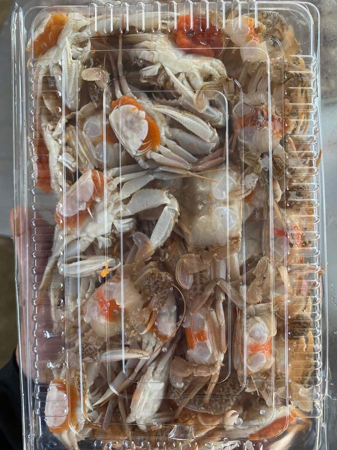 336162376_895091458365547_4526583099275215410_n